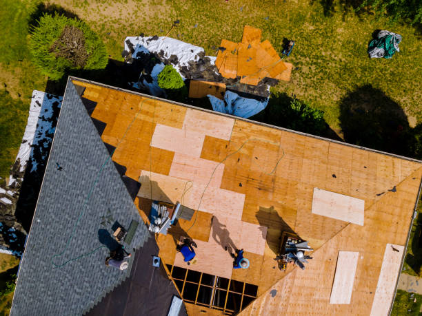 Best Slate Roofing Contractor  in Osseo, MN