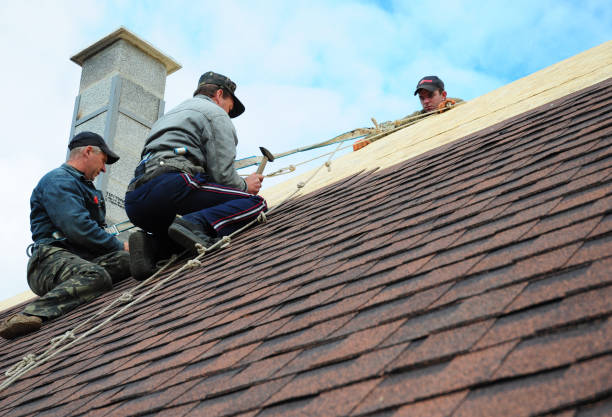 Best Roof Leak Repair  in Osseo, MN